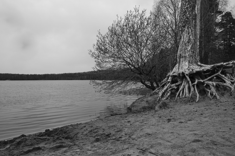 Фото сделанное пользователем rukez