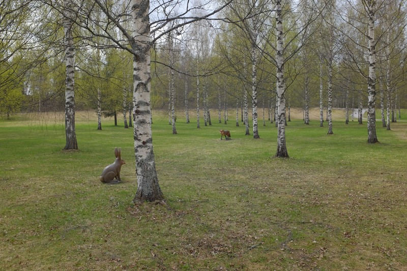 Фото сделанное пользователем Серёжа