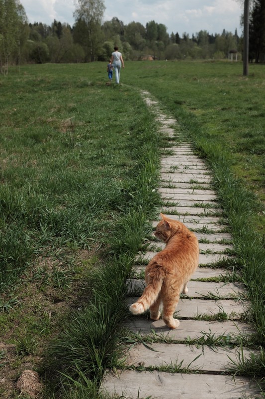 Фото сделанное пользователем Гарин