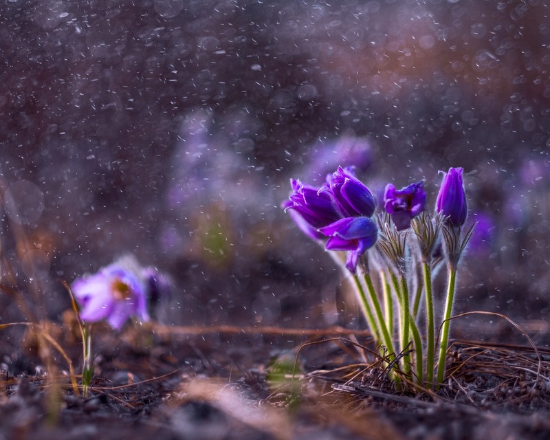 Фото сделанное пользователем AnDron