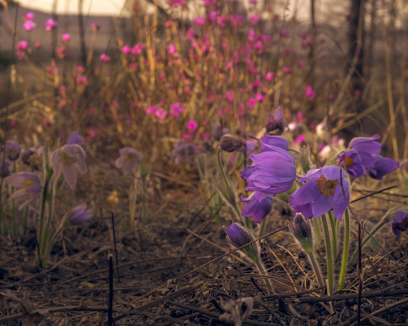 Фото сделанное пользователем AnDron