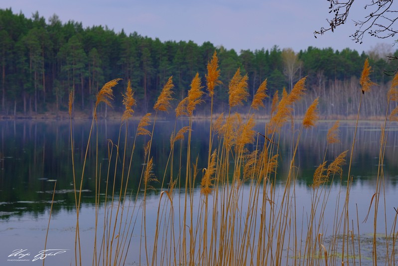 Фото сделанное пользователем zurbagan