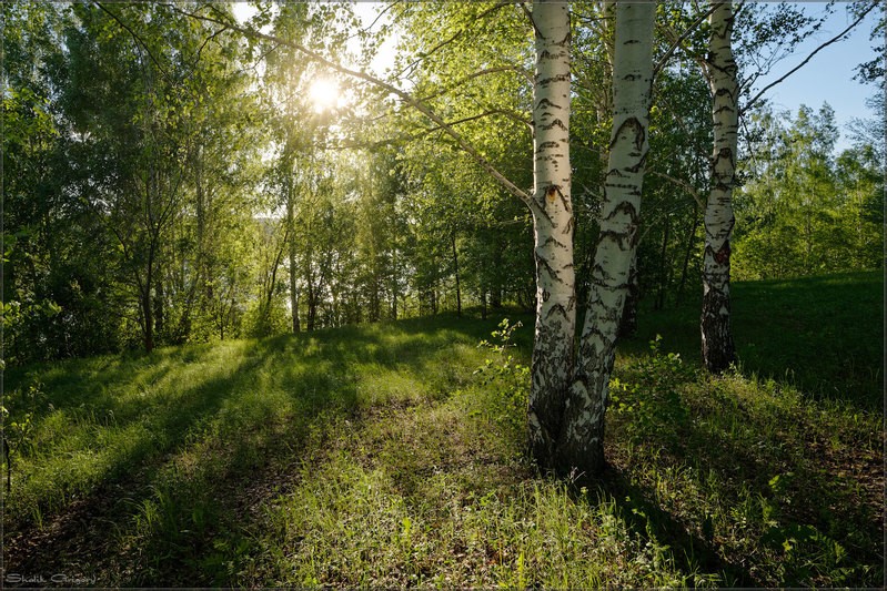 Фото сделанное пользователем rus-lis