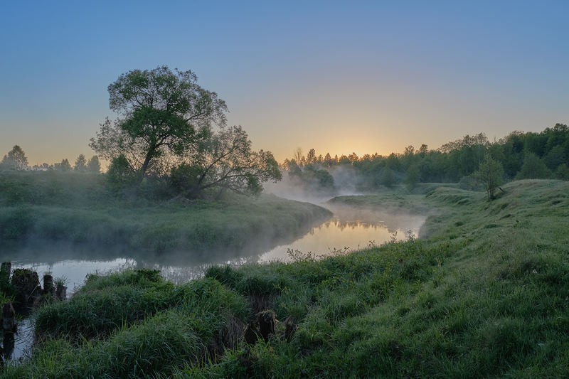 Фото сделанное пользователем GregB