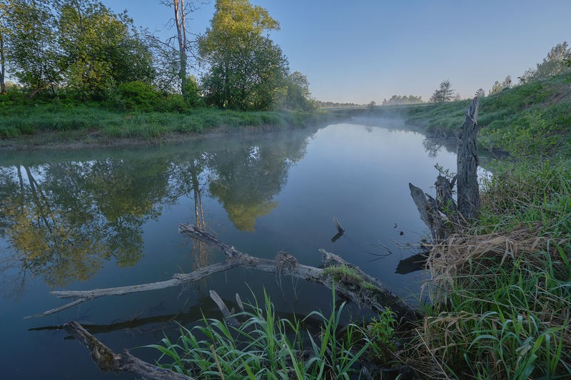 Фото сделанное пользователем GregB