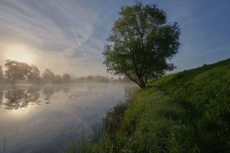 Фото сделанное пользователем GregB