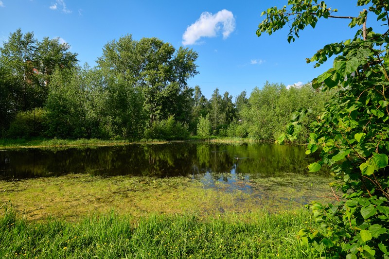 Фото сделанное пользователем swlad