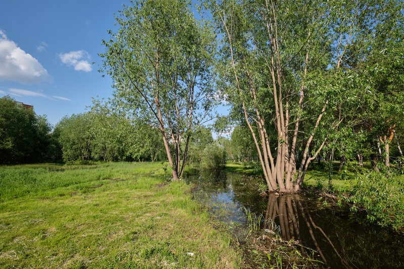 Фото сделанное пользователем swlad