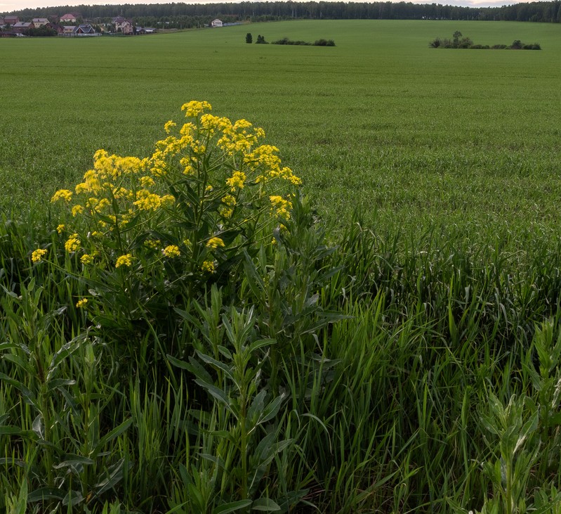 Фото сделанное пользователем derder