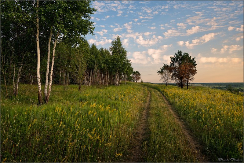 Фото сделанное пользователем rus-lis