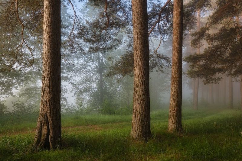 Фото сделанное пользователем GregB