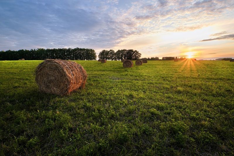 Фото сделанное пользователем GregB