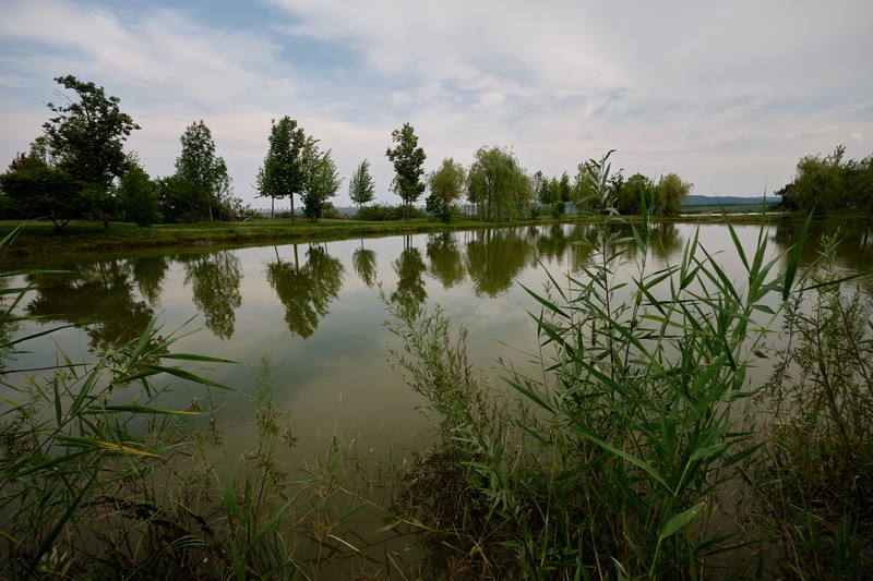 Фото сделанное пользователем swlad