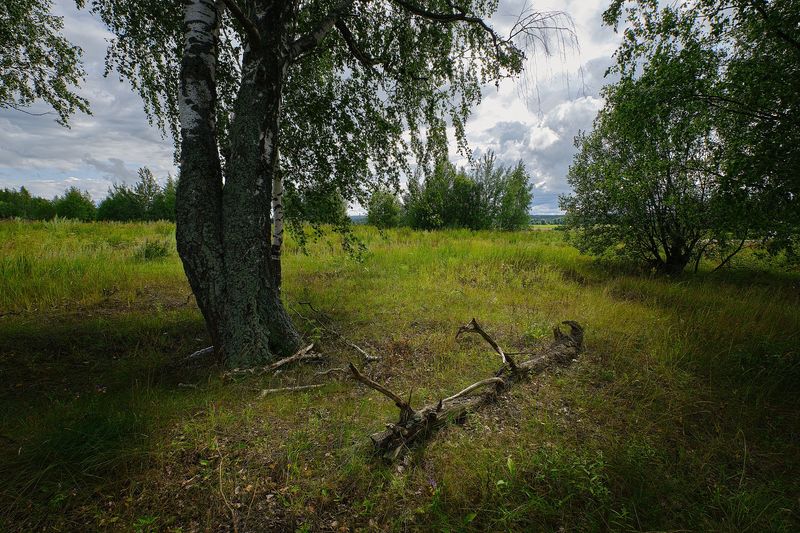 Фото сделанное пользователем GregB