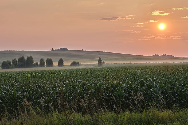 Фото сделанное пользователем GregB