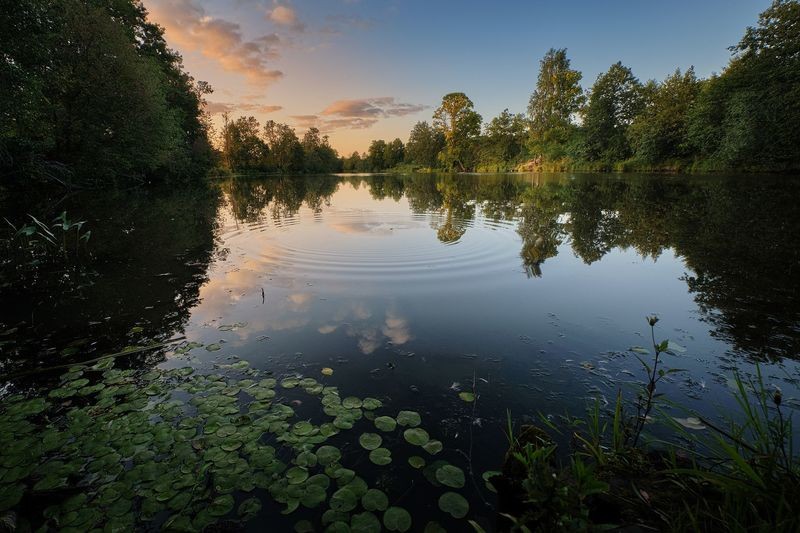 Фото сделанное пользователем GregB