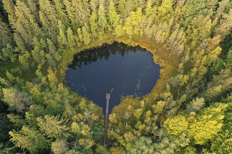 Фото сделанное пользователем Серёжа