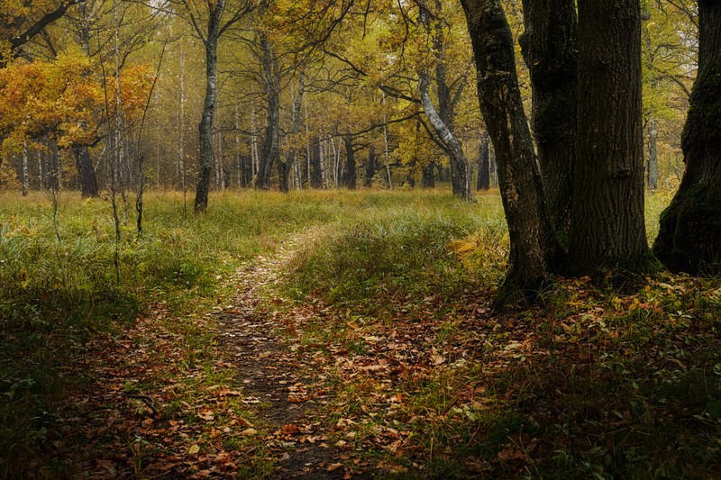 Фото сделанное пользователем GregB