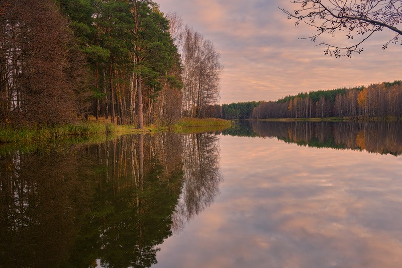 Фото сделанное пользователем GregB