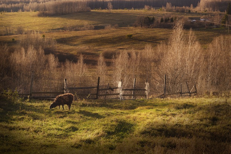 Фото сделанное пользователем GregB