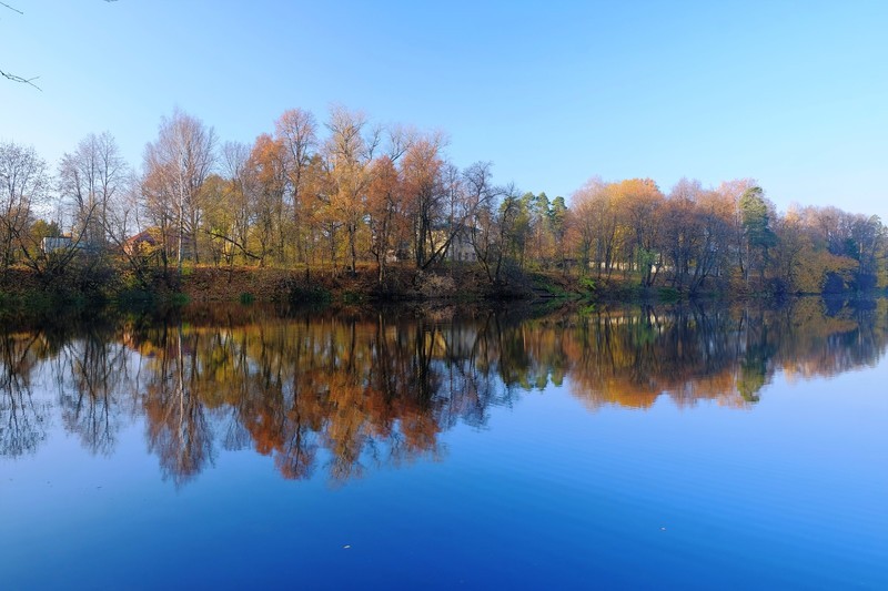 Фото сделанное пользователем фарш