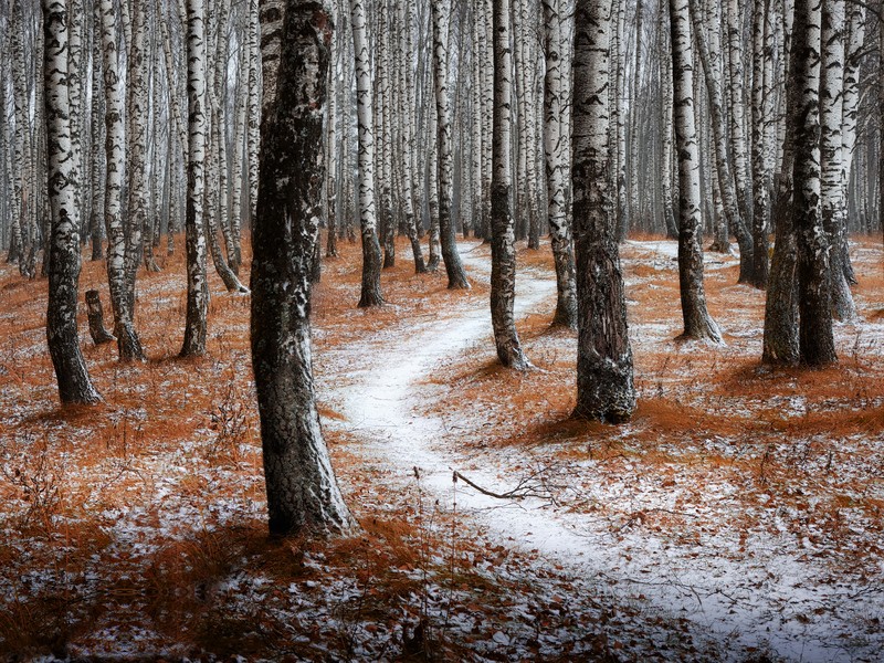 Фото сделанное пользователем GregB