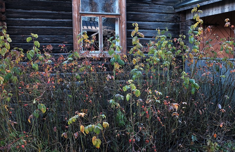 Фото сделанное пользователем Серёжа