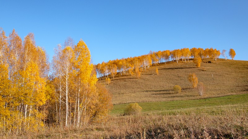 Фото сделанное пользователем Mak V