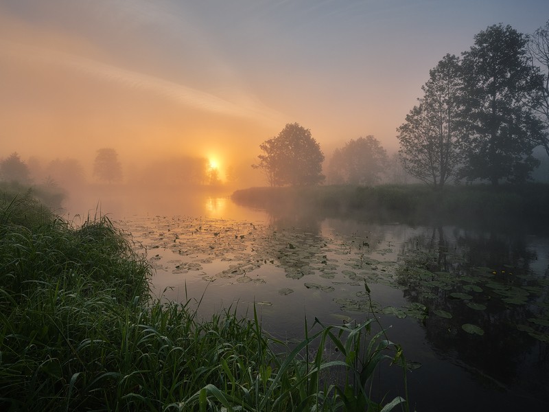 Фото сделанное пользователем GregB