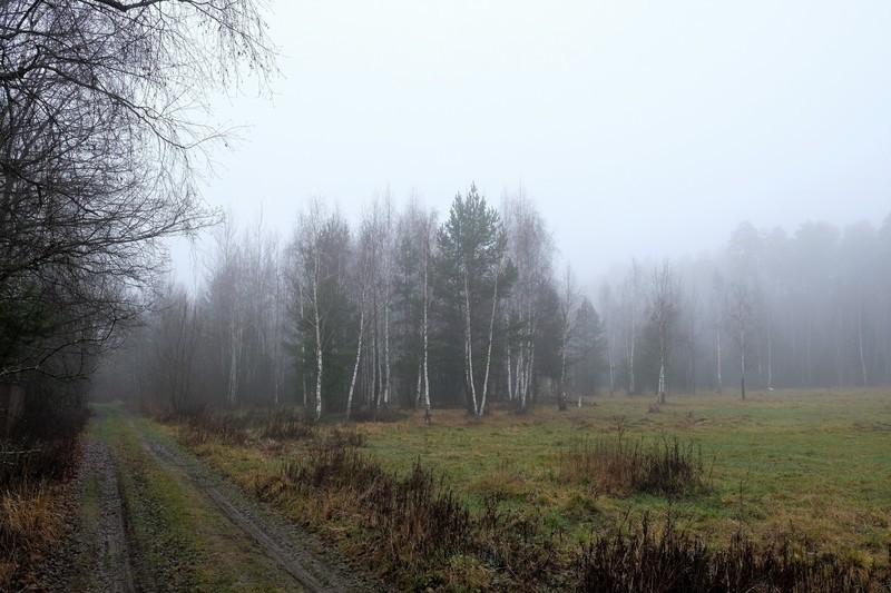 Фото сделанное пользователем фарш