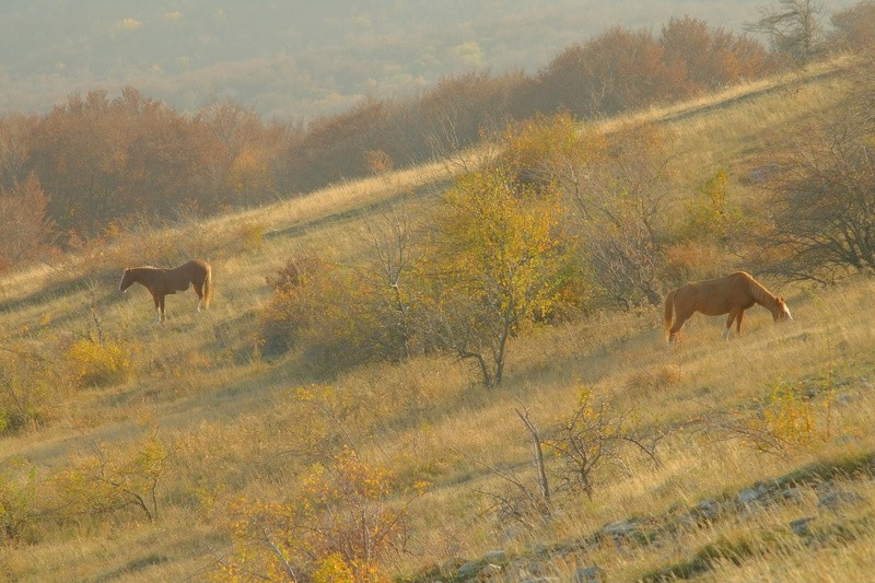 Фото сделанное пользователем Саян