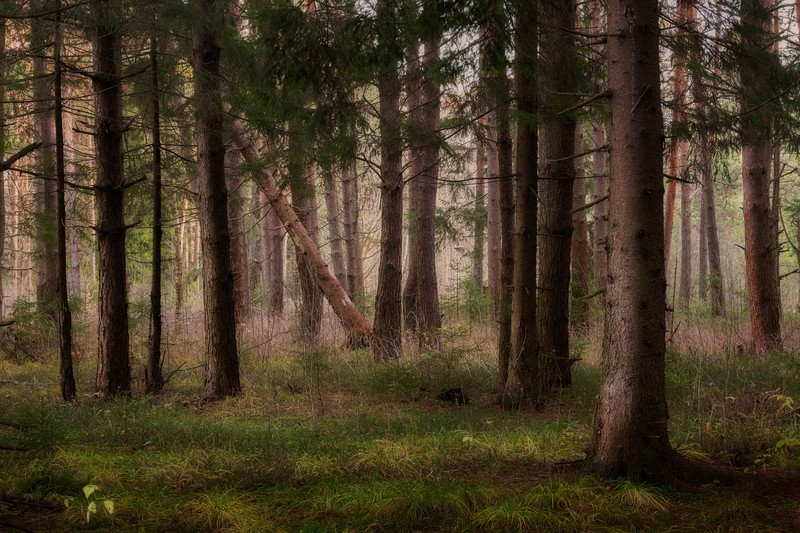 Фото сделанное пользователем GregB