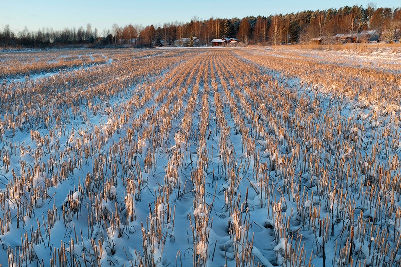 Фото сделанное пользователем Серёжа