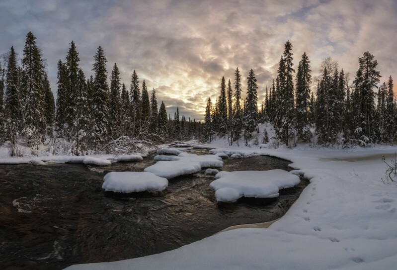 Фото сделанное пользователем Jammy