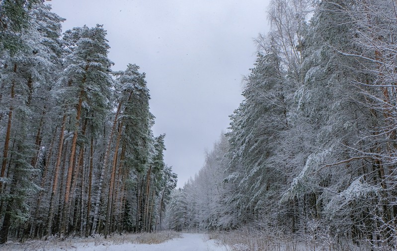 Фото сделанное пользователем Дамир