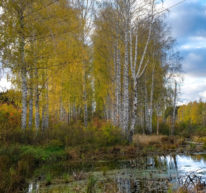 Фото сделанное пользователем Дамир