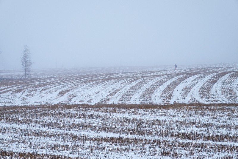 Фото сделанное пользователем Серёжа