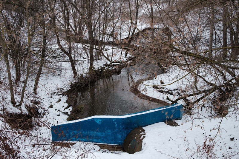 Фото сделанное пользователем Shishkin_Dmitry