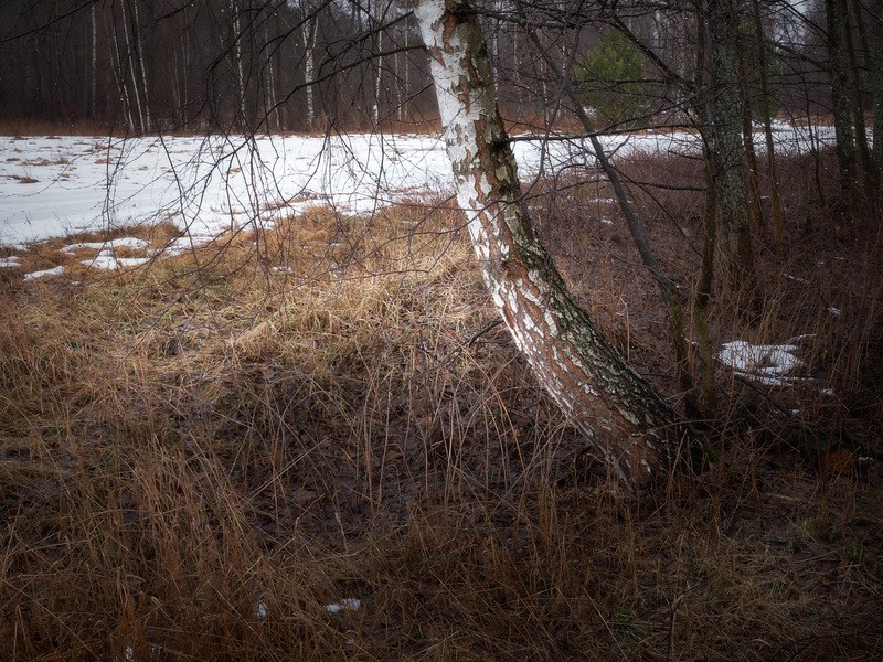 Фото сделанное пользователем GregB