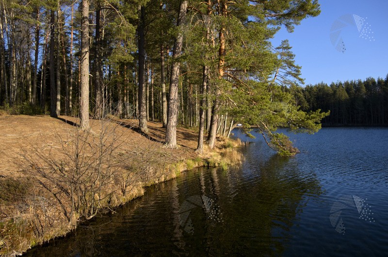 Фото сделанное пользователем vista900