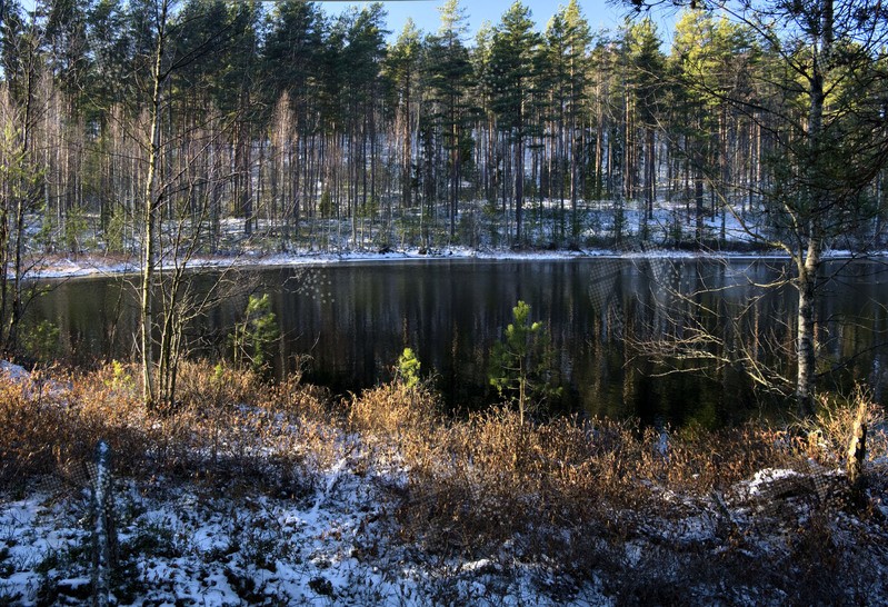 Фото сделанное пользователем vista900