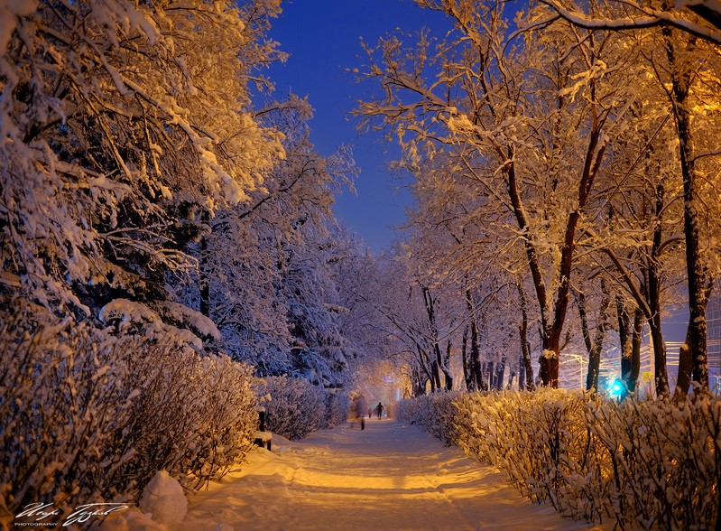 Фото сделанное пользователем zurbagan