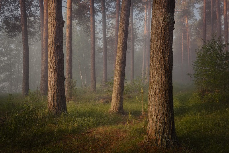 Фото сделанное пользователем GregB