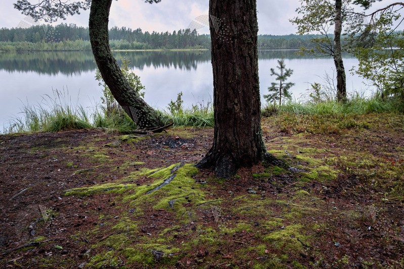 Фото сделанное пользователем vista900