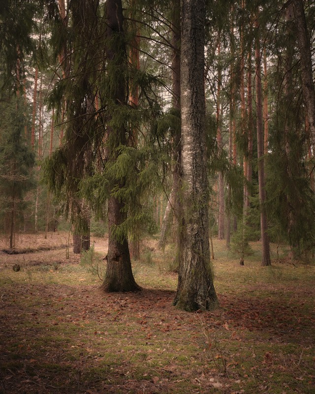 Фото сделанное пользователем GregB