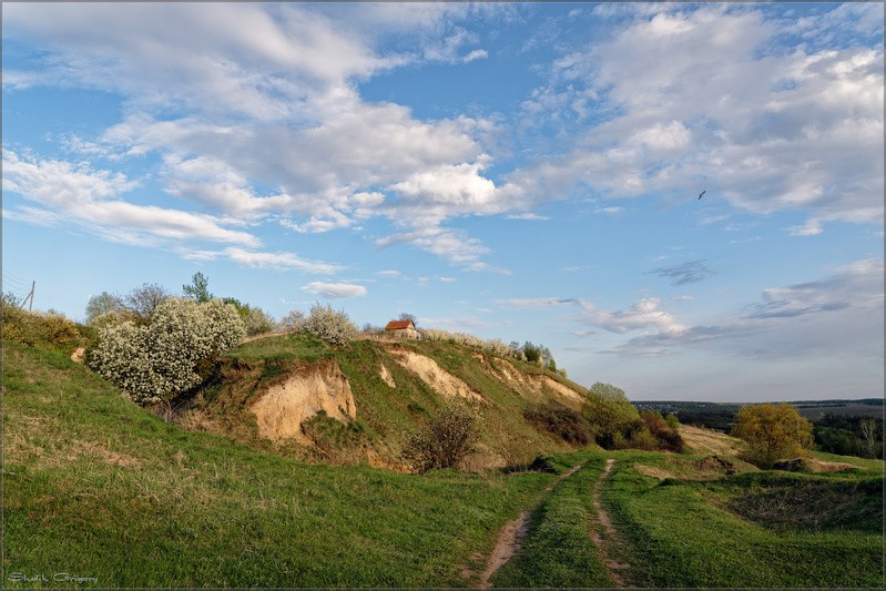 Фото сделанное пользователем rus-lis