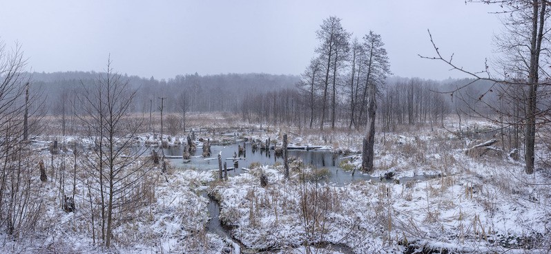 Фото сделанное пользователем Сергей Миронов