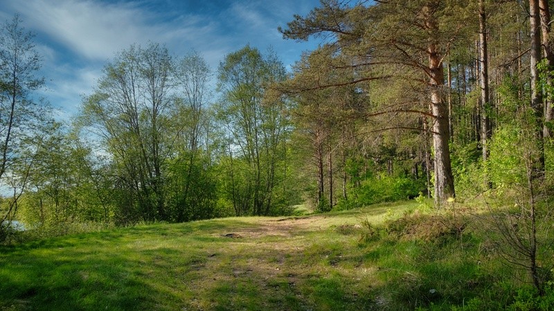 Фото сделанное пользователем Agap