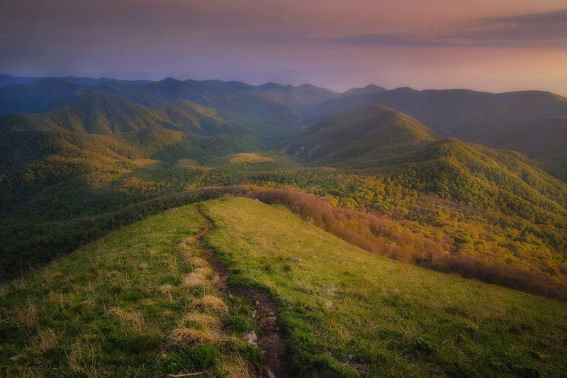 Фото сделанное пользователем ol.fedos