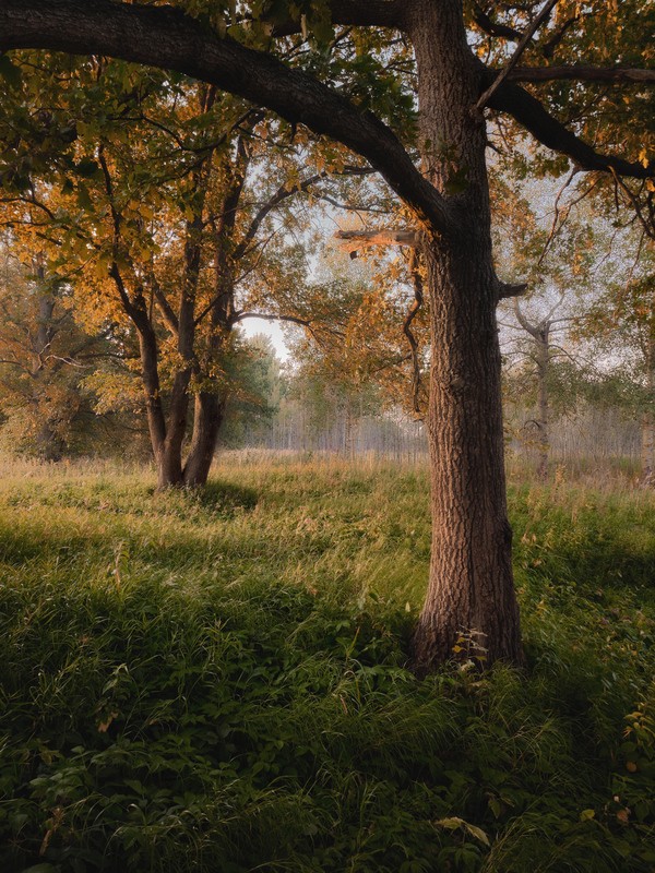 Фото сделанное пользователем GregB